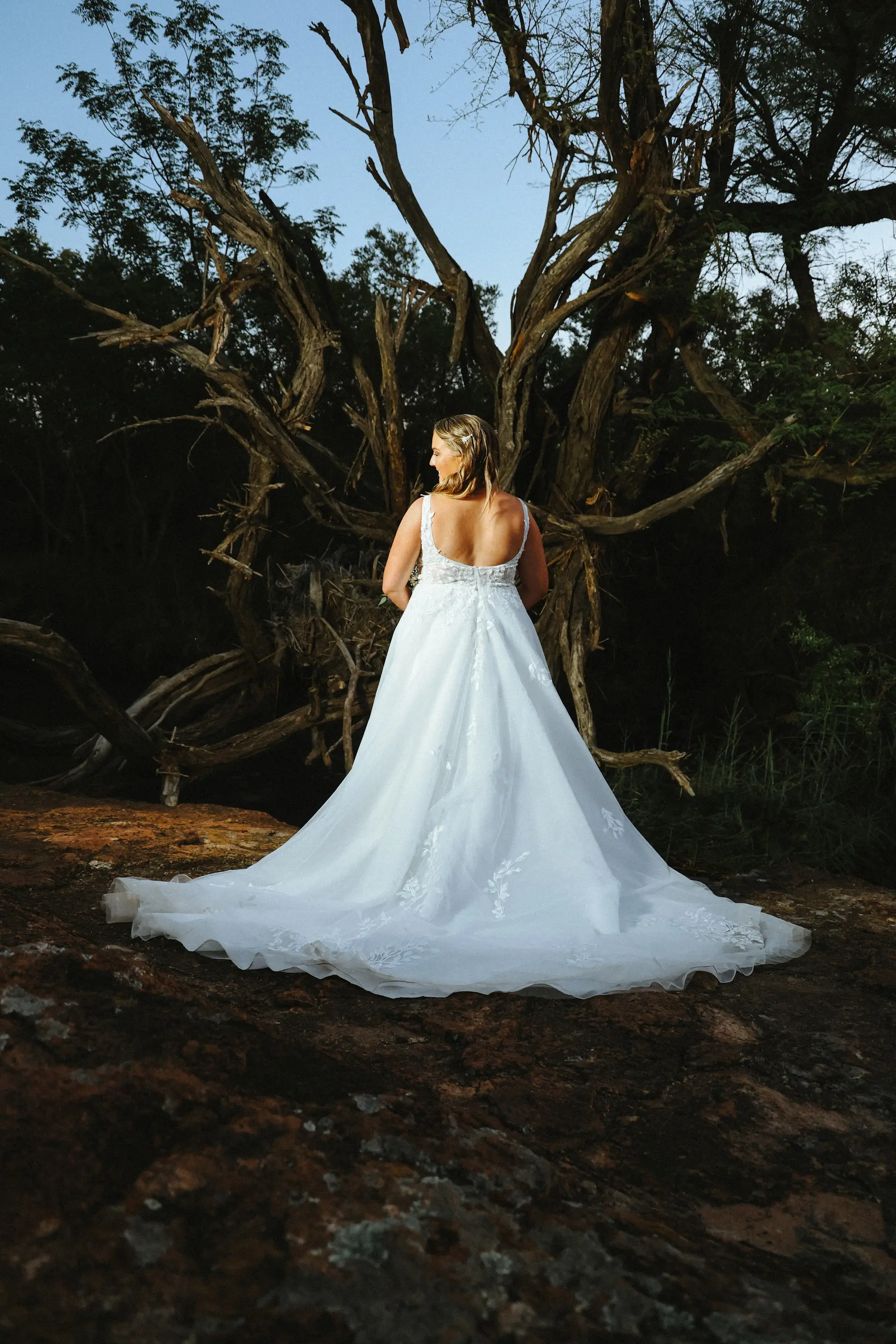 A bride in a long white gown, from behind, under an old tree at dusk